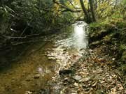 Fresh Flowing Streams